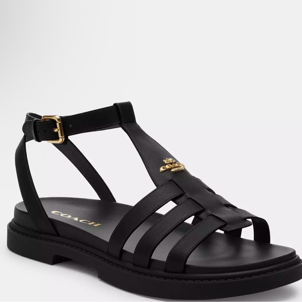 Coach Black Gladiator Sandals with Gold Buckle